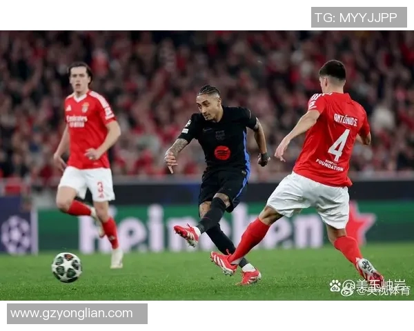 本菲卡与里昂历史交锋回顾及战绩分析 本菲卡与里昂历史交锋回顾及战绩分析