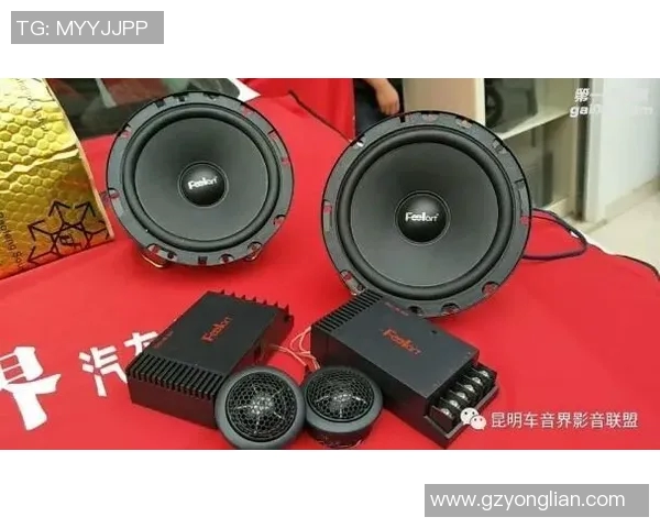 伯顿功放VS6评测:音质表现与功能对比分析,谁才是音响界的王者 伯顿功放VS6评测:音质表现与功能对比分析,谁才是音响界的王者