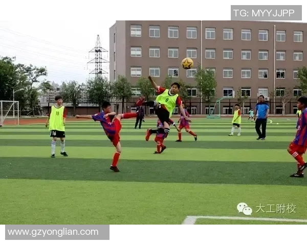 马关县青少年足球比赛精彩直播助力青少年成长与交流 马关县青少年足球比赛精彩直播助力青少年成长与交流