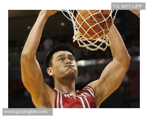 姚明与霍华德巅峰对决全场精彩集锦回顾与分析