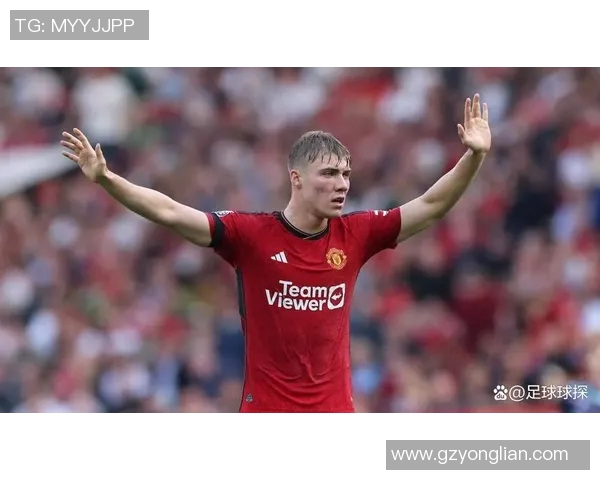 霍伊伦：探索这位杰出人物背后的故事与成就